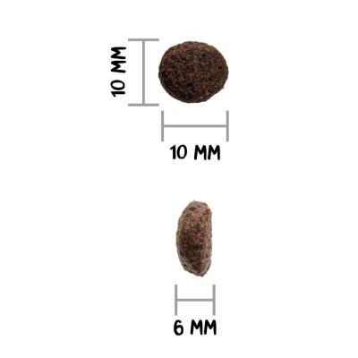 OWNAT GF JUST JUNIOR - Chiot